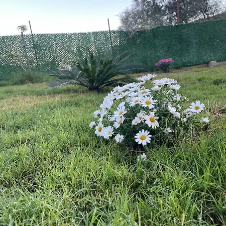Lägenhetshotell Garden Kemer
