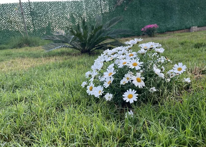 Apartahotel Garden Kemer